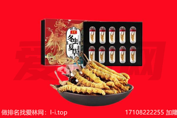 深圳回收虫草.jpg